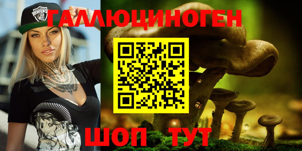 Галлюциногенные грибы GOLDEN TEACHER Грозный